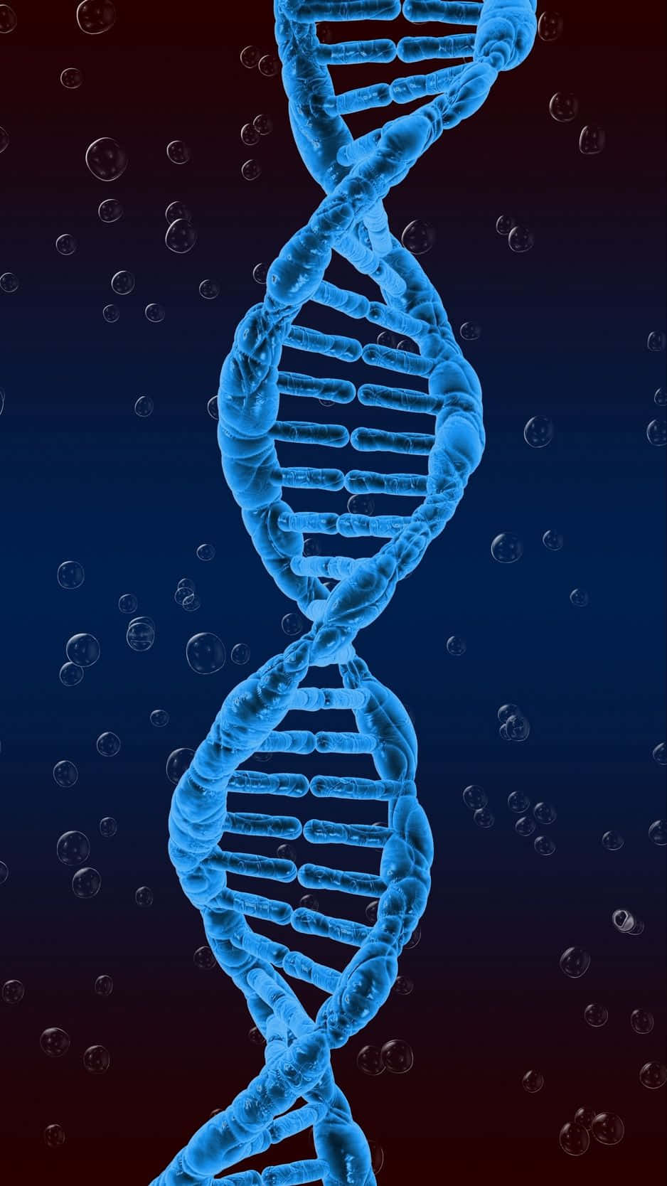 Blue D N A Double Helix Structure Wallpaper