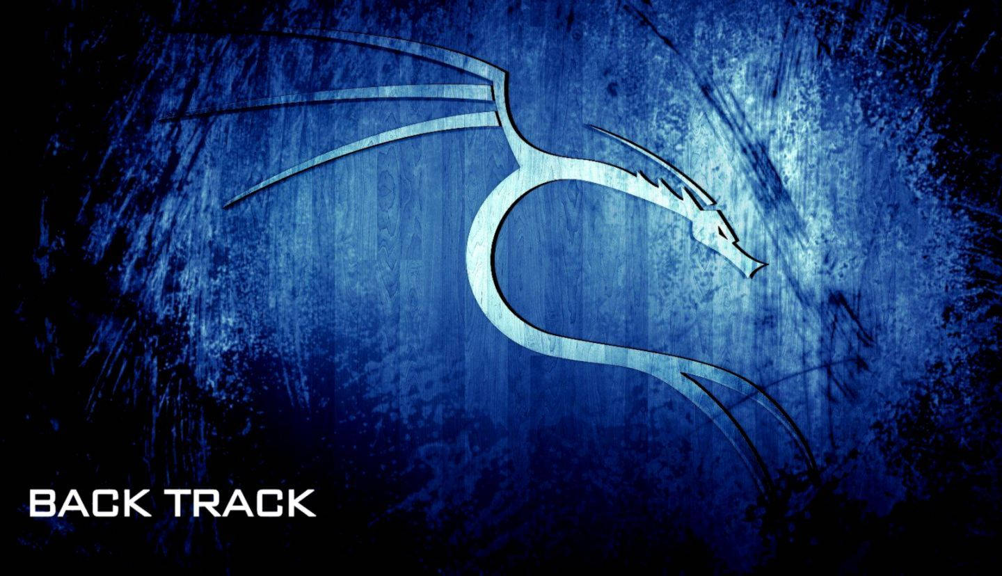 Blue Kali Linux-back Track Wallpaper