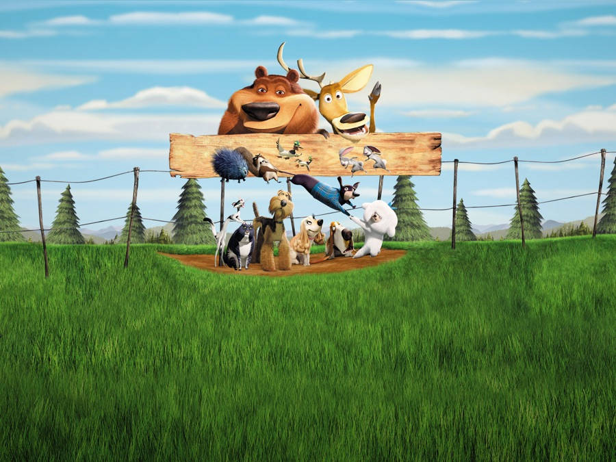 Boog And Friends Open Season Wallpaper