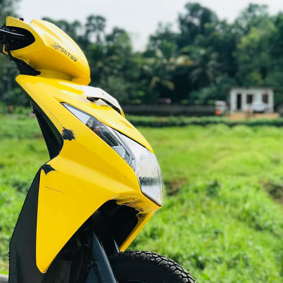 Bumblebee Yellow Dio Bike Wallpaper