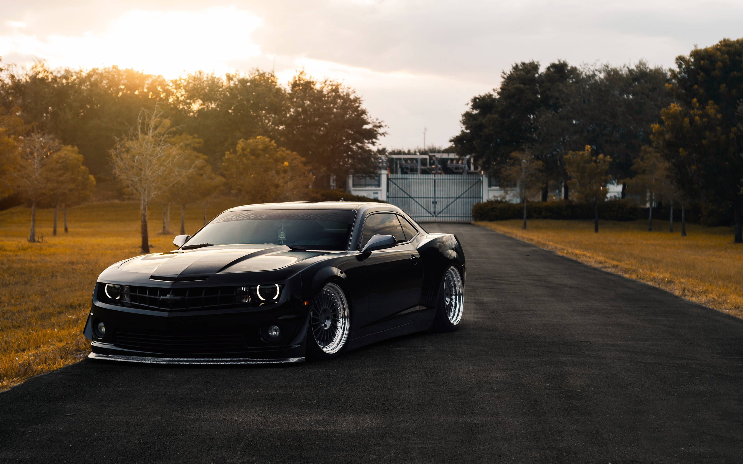 Camaro Muscle Car On Cars Catalog Wallpaper