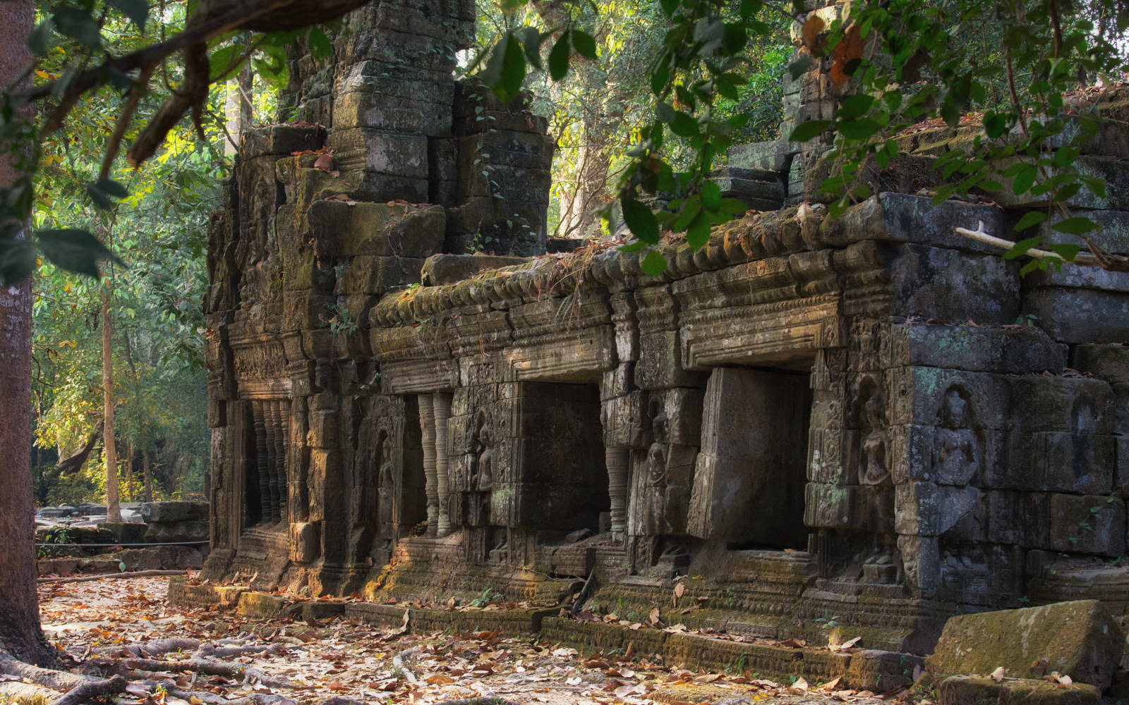 Cambodia Ta Prohm Temple Wallpaper