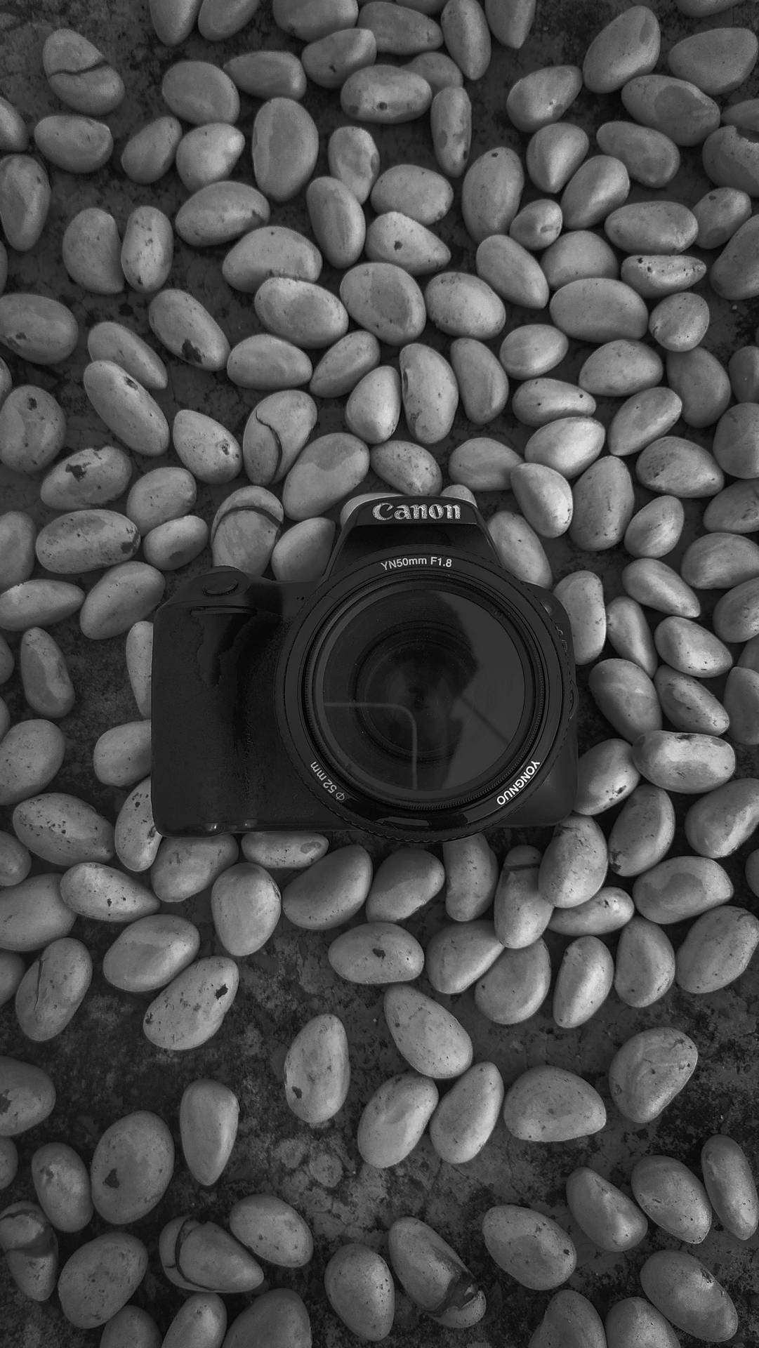 Canon Dslr Camera On Stones Wallpaper