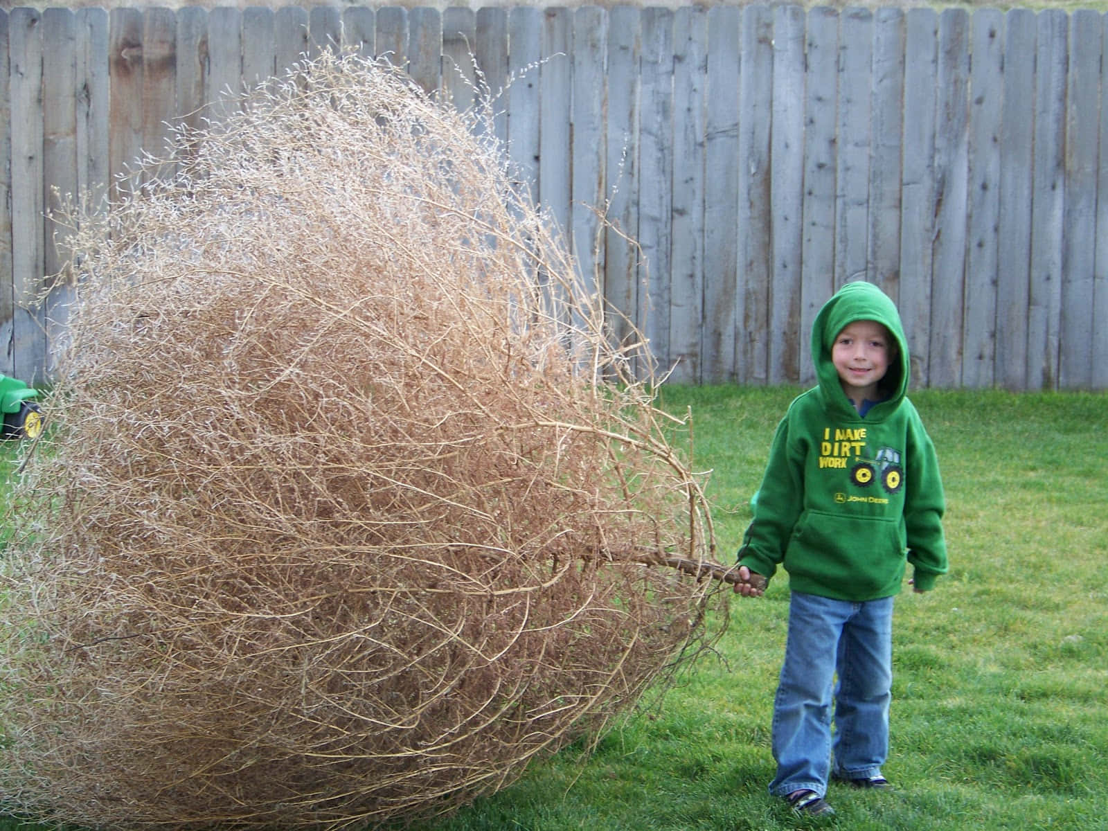 Caption: A Lonely Tumbleweed Under The Clear Sky Wallpaper