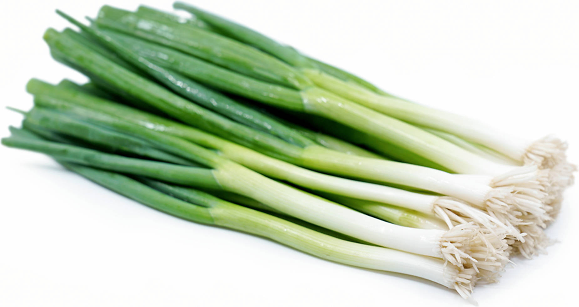 Caption: Fresh Green Onion In Vibrant Natural Setting Wallpaper