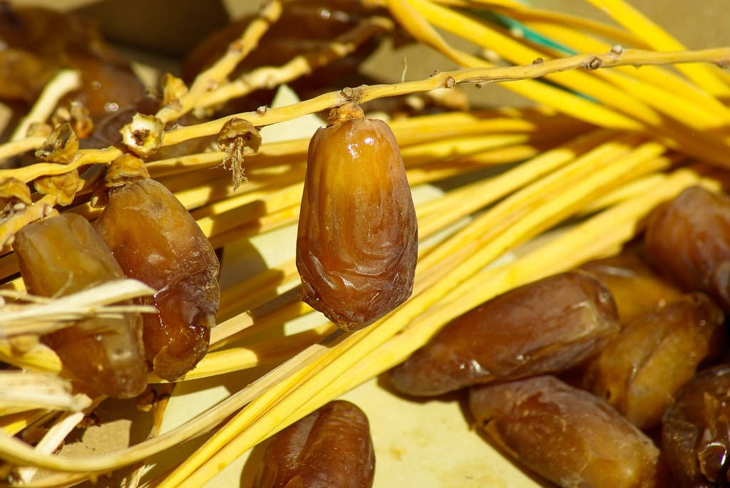 Caption: Ripened Dates On Tree Branches Wallpaper