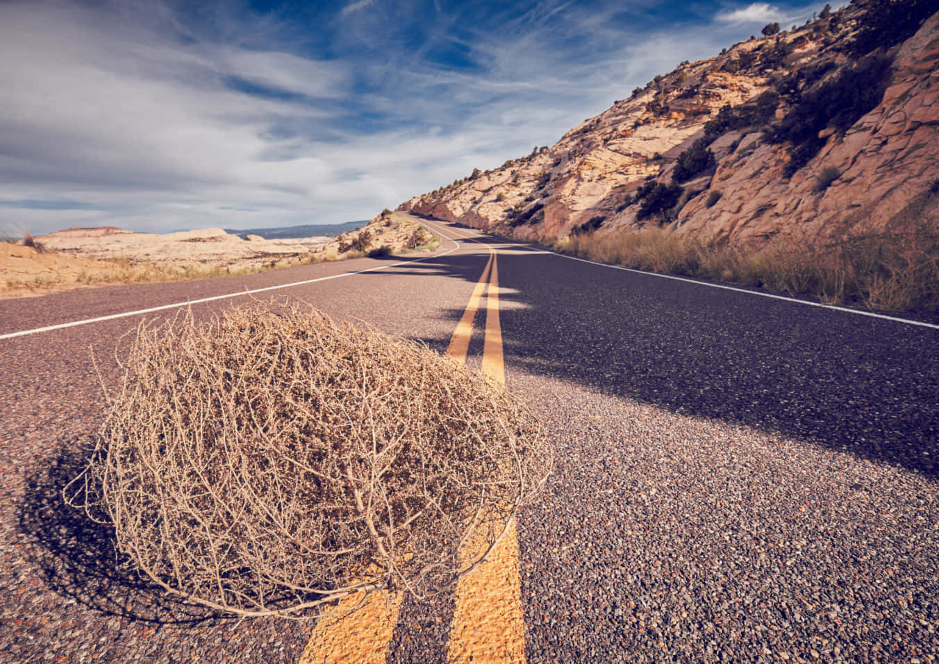 Captivating Tumbleweed In A Barren Sameland Wallpaper