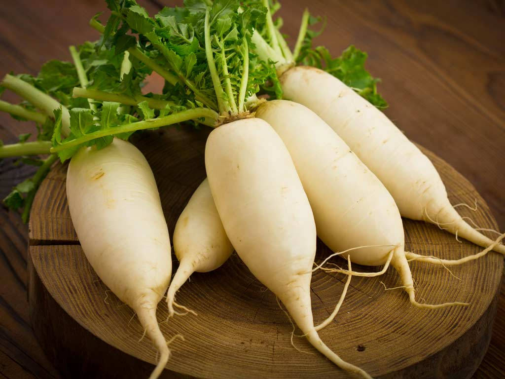 Captivating White Winter Radish Wallpaper