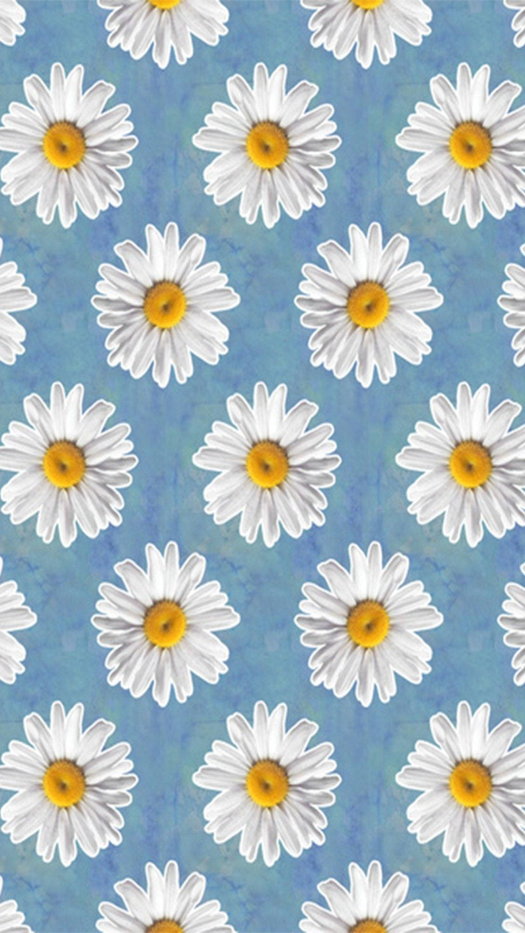 Cartoon Daisy Aesthetic Blue Wallpaper