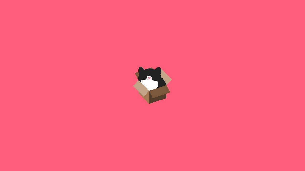 Cat Inside A Box Plain Aesthetic Wallpaper