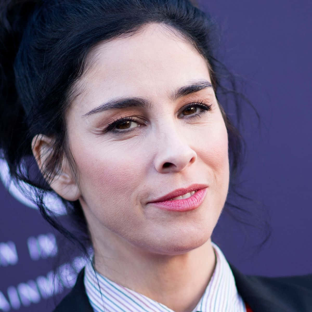 Charming Sarah Silverman Smiling At An Event Wallpaper