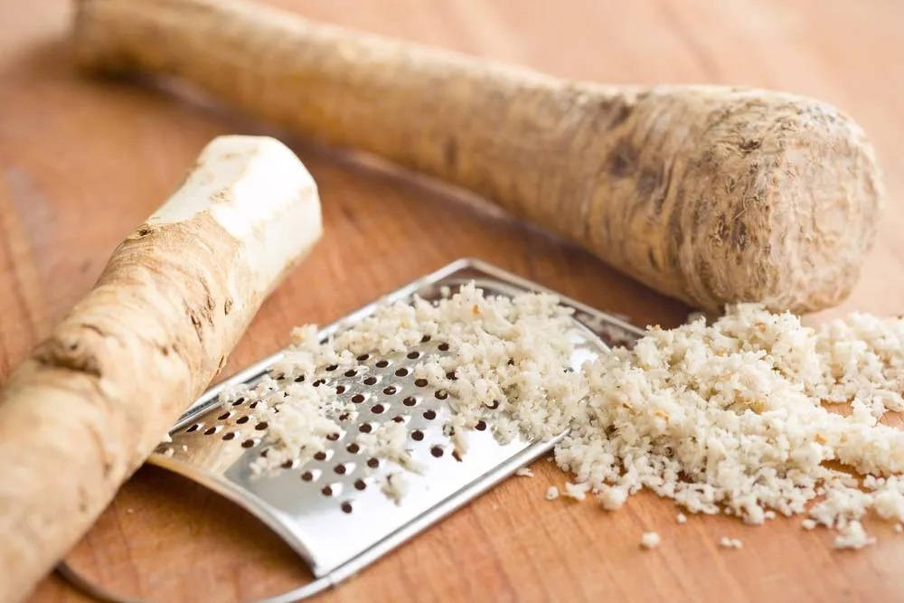 Cheese Grater And Horseradish Wallpaper