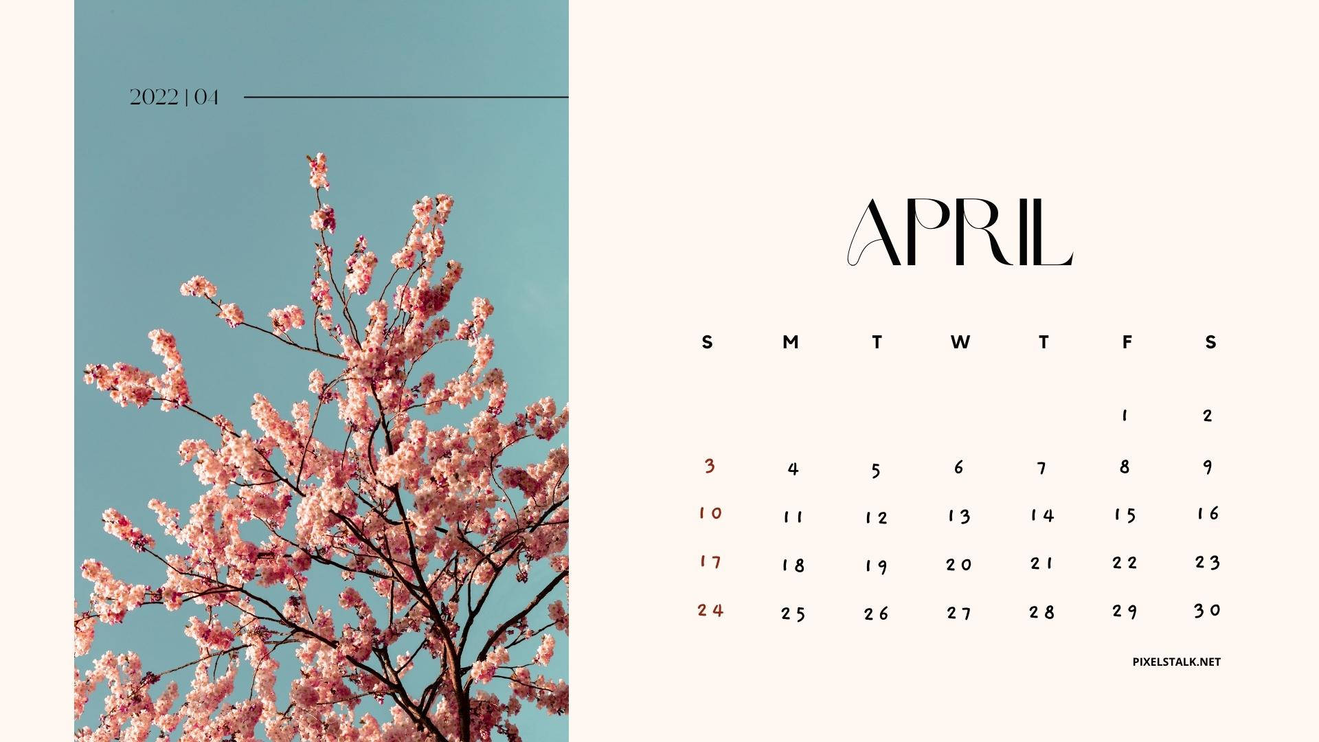 Cherry Blossoms April 2022 Calendar Wallpaper