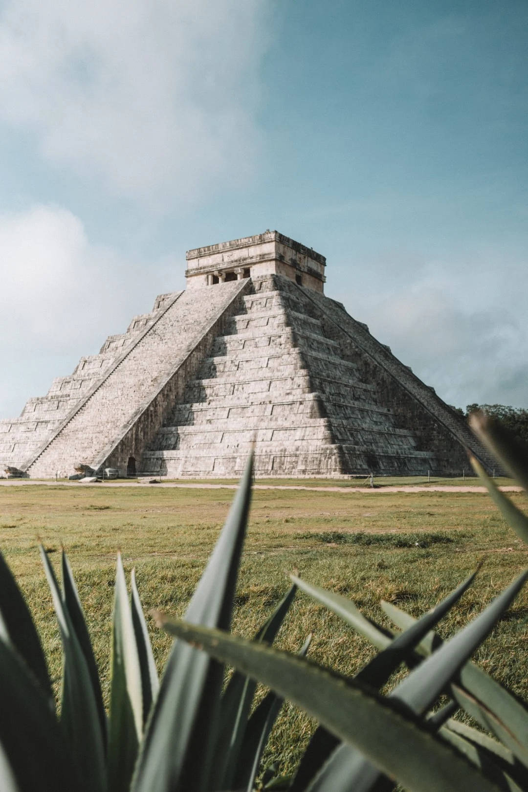 Chichen Itza Aloe Vera Wallpaper