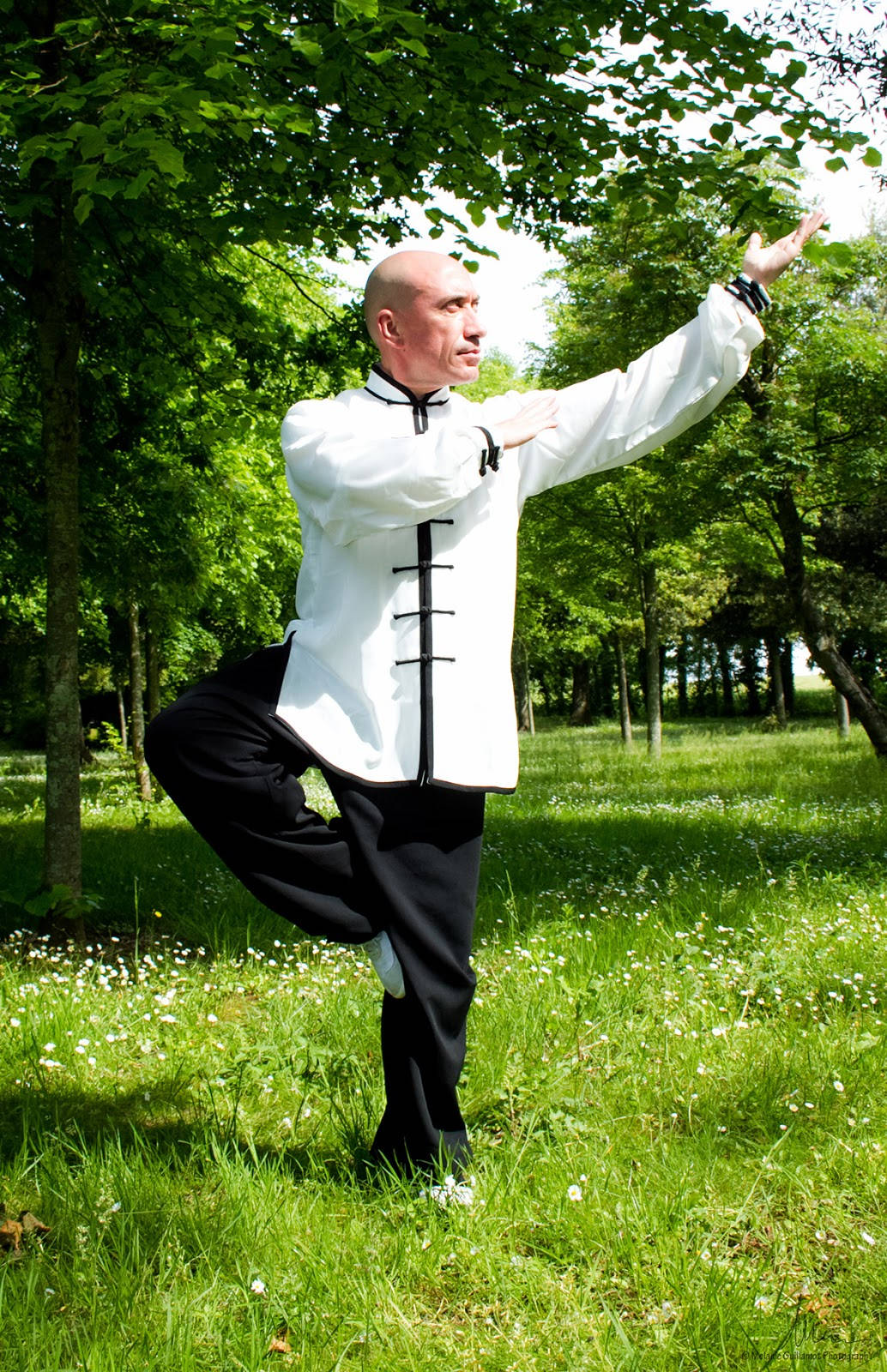 Chinese Medicine Healing Practice Qi Gong Wallpaper