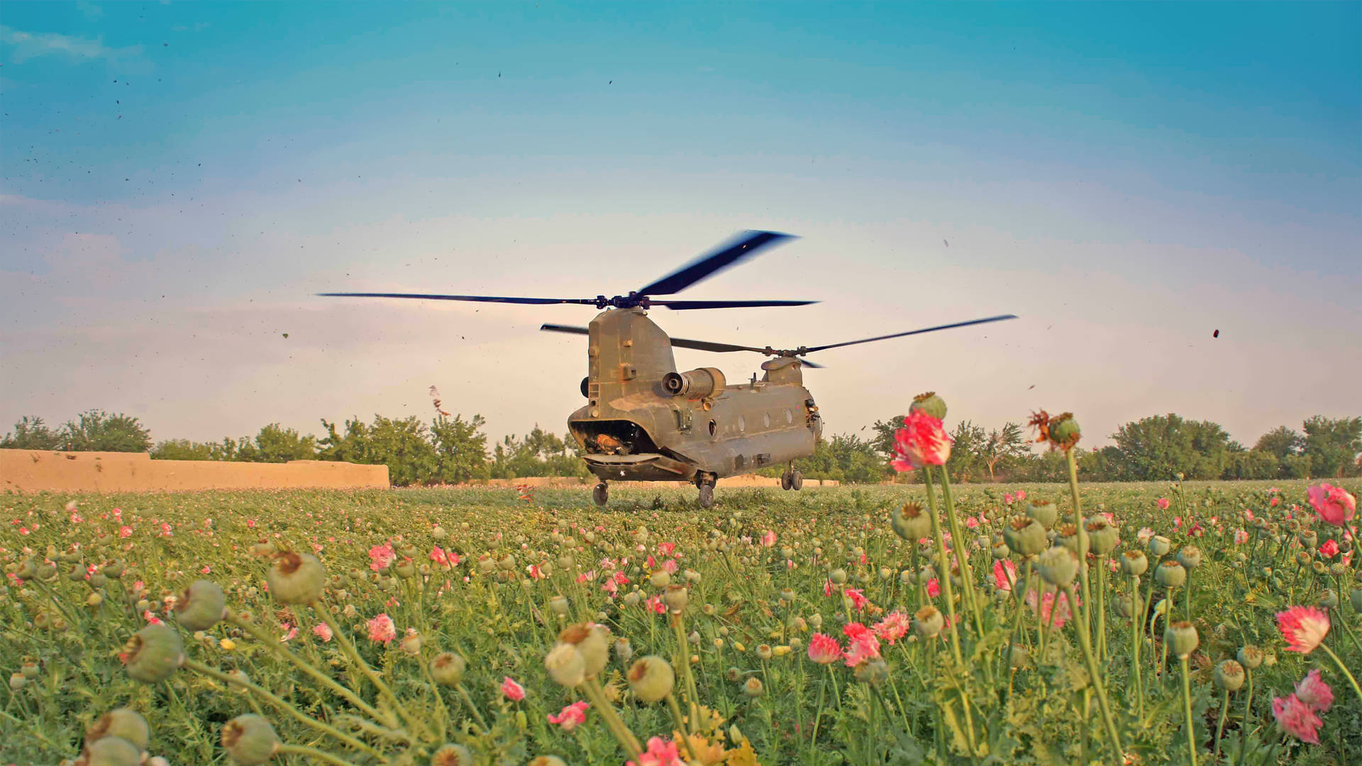 Chinook Military Helicopter With Flowers Wallpaper