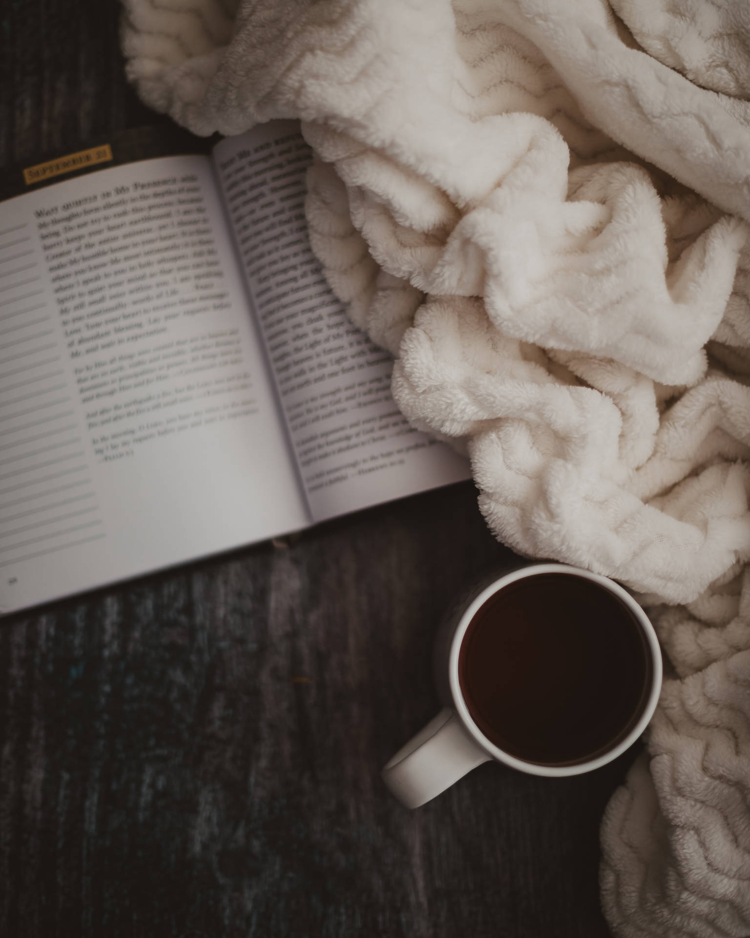 Chunky Blanket Aesthetic Book Desktop Wallpaper