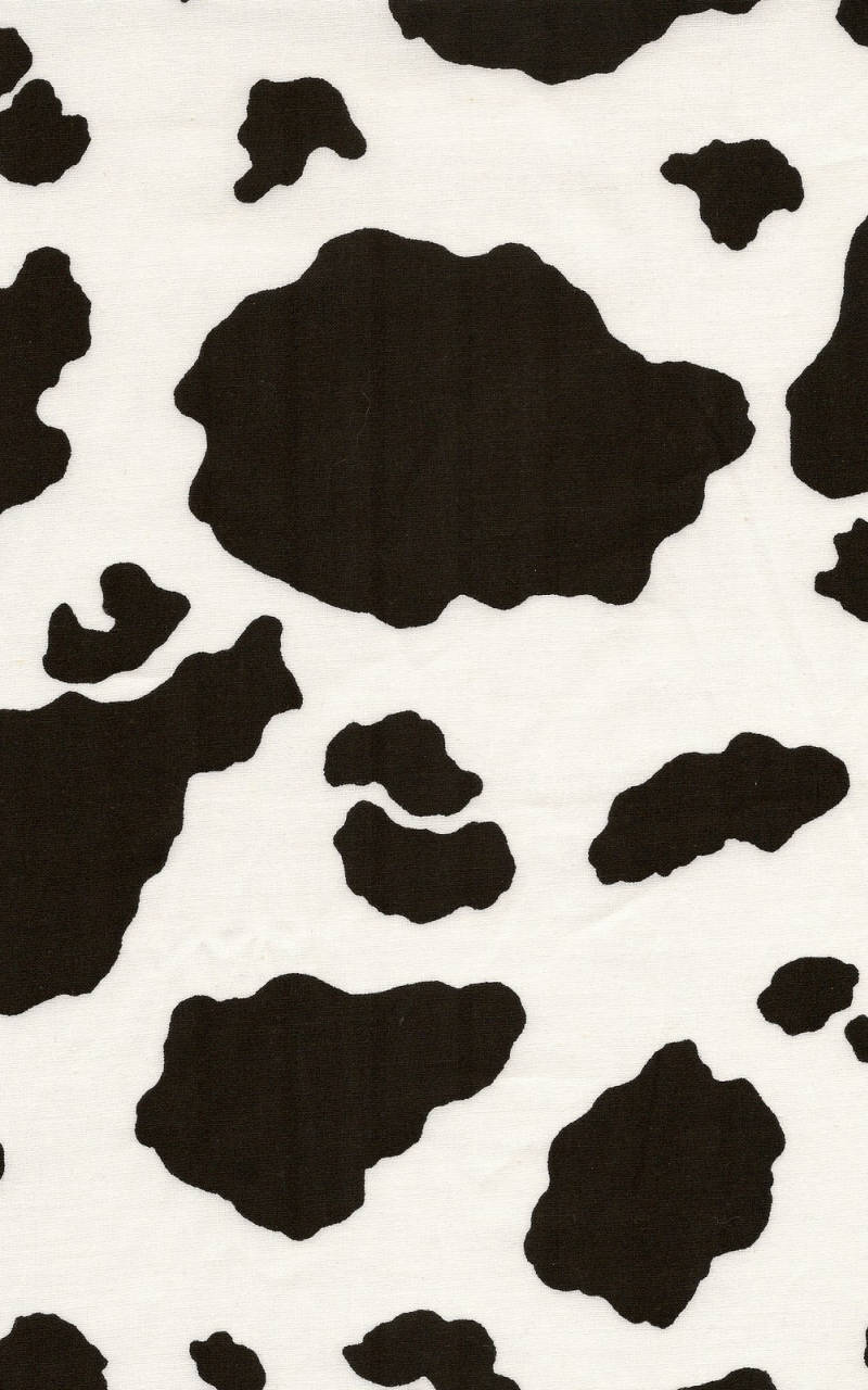 Classic Black And White Cow Pattern Wallpaper