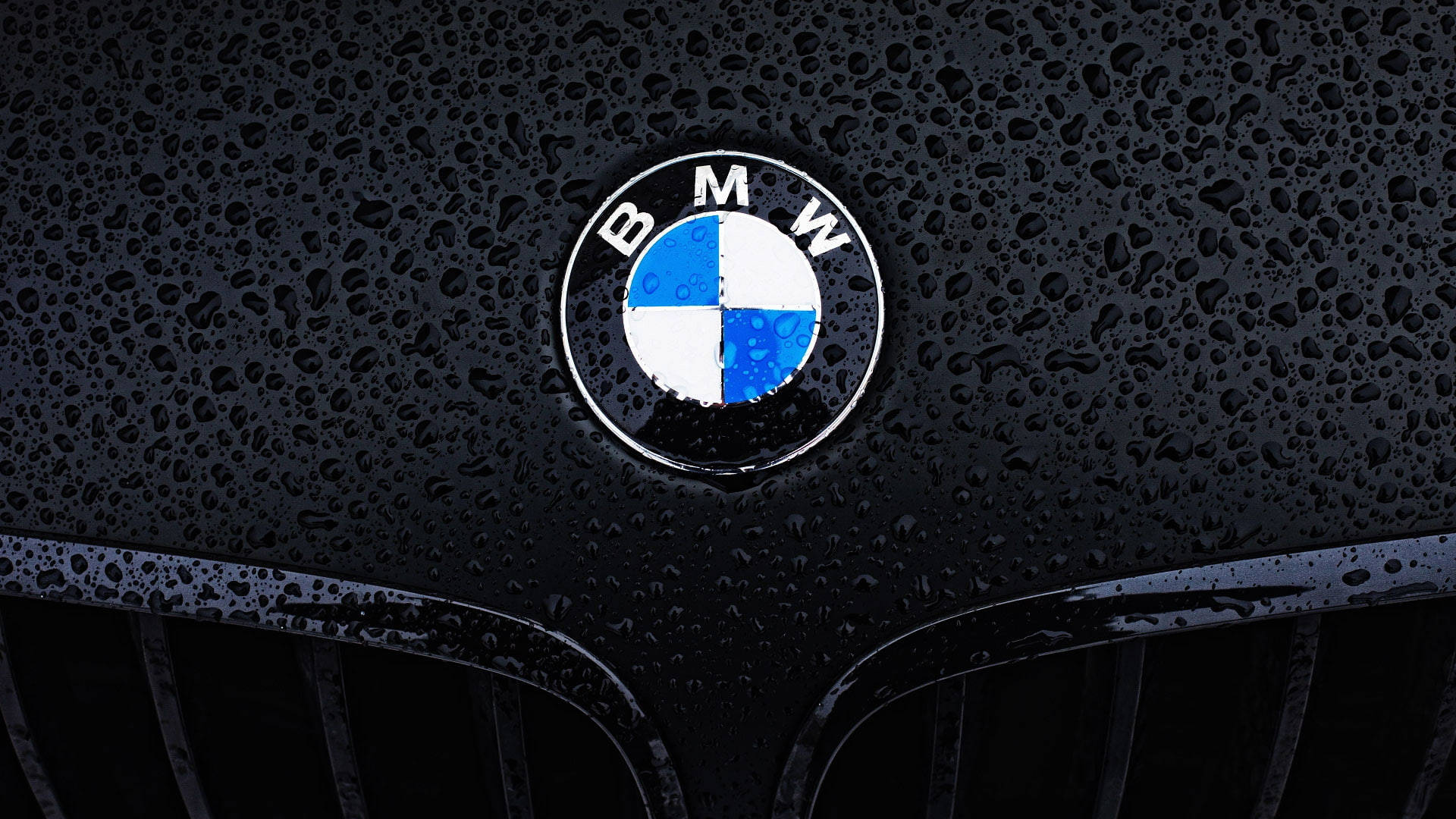 Close-up Logo Bmw Laptop Wallpaper