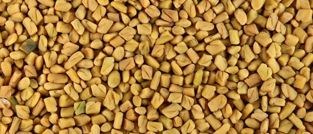 Close Up Of Fenugreek Seeds Wallpaper