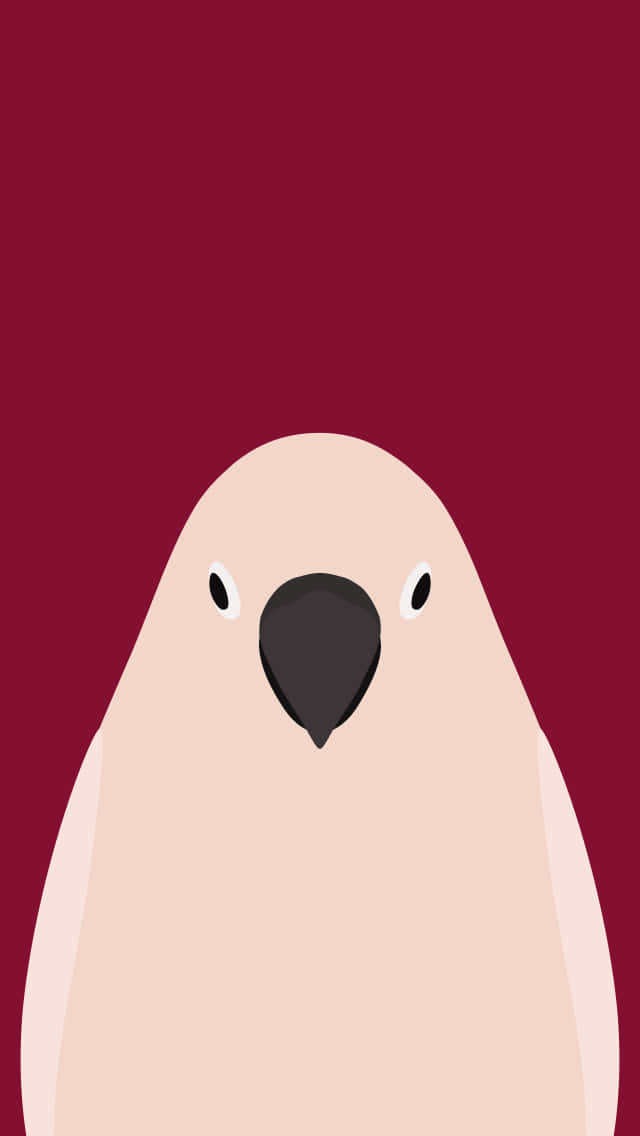 Cockatoo Portrait Simple Illustration Wallpaper