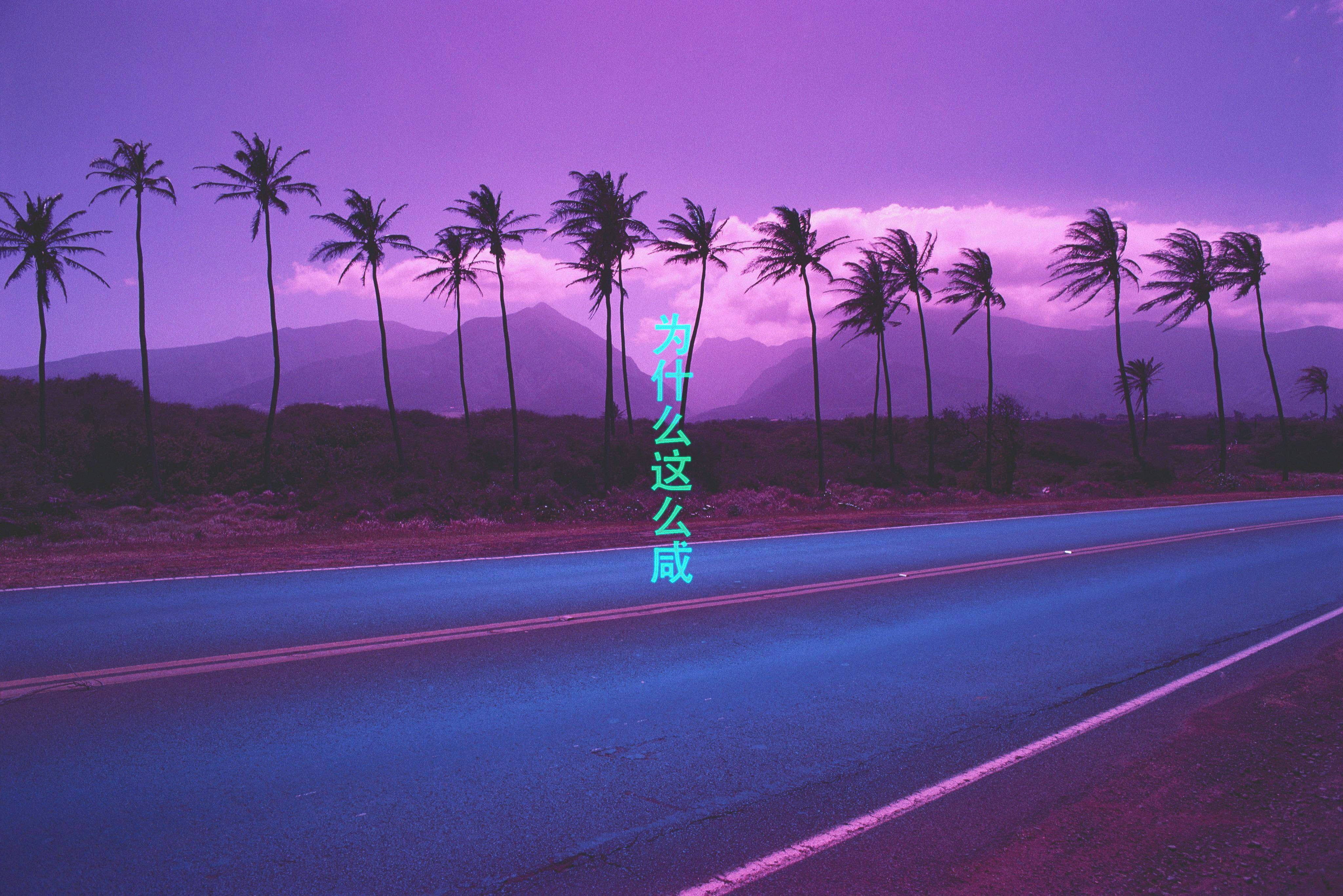 Coconut Purple Aesthetic Tumblr Laptop Wallpaper