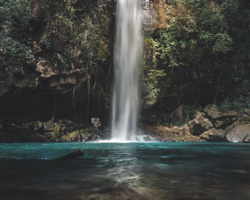Costa Rica Oropendola Waterfall Wallpaper