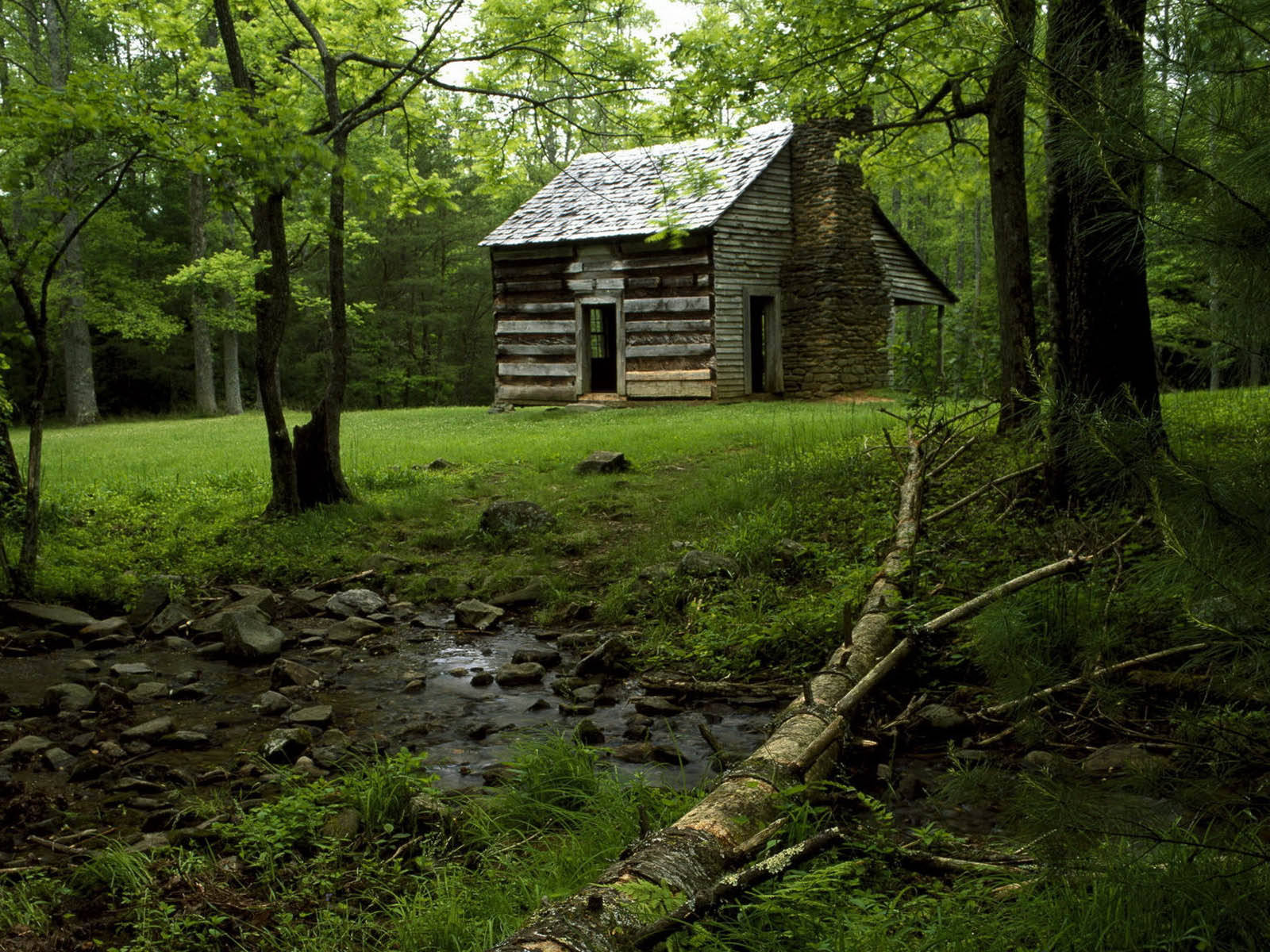 Creepy Wood House In Forest Wallpaper