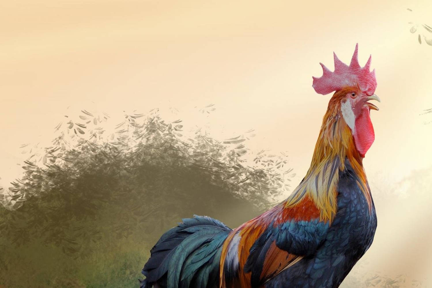 Crowing Rooster Digital Art Wallpaper