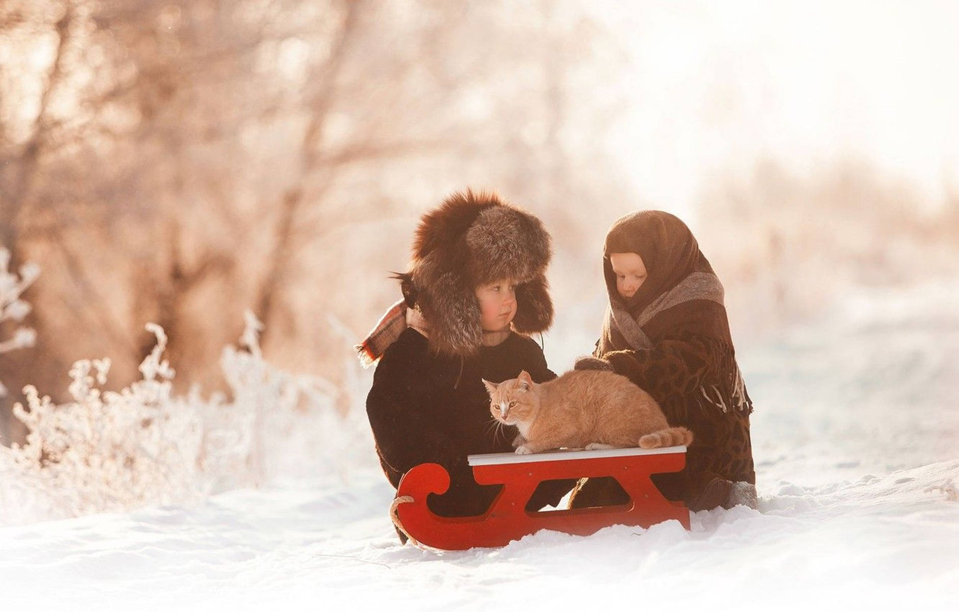 Cute Babies Sledding On The Snow Wallpaper