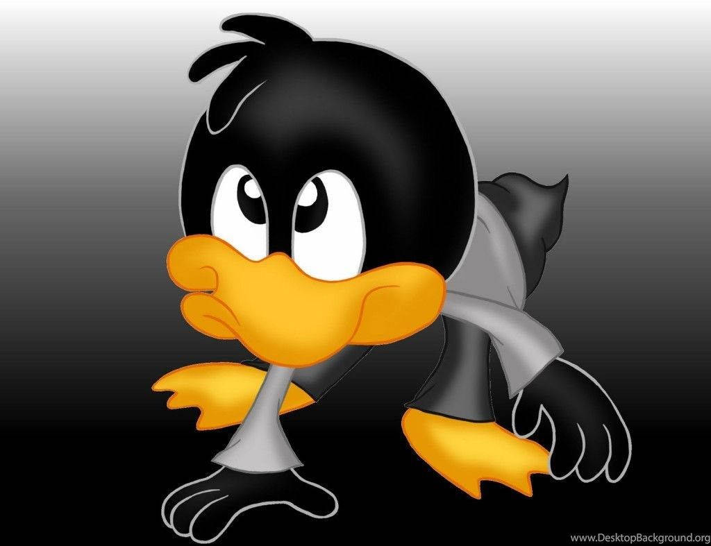 Daffy Duck Looking So Cute In High Definition Wallpaper