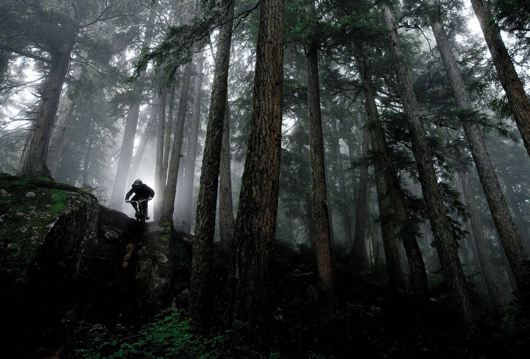 Dark Misty Forest Mtb Ride Wallpaper