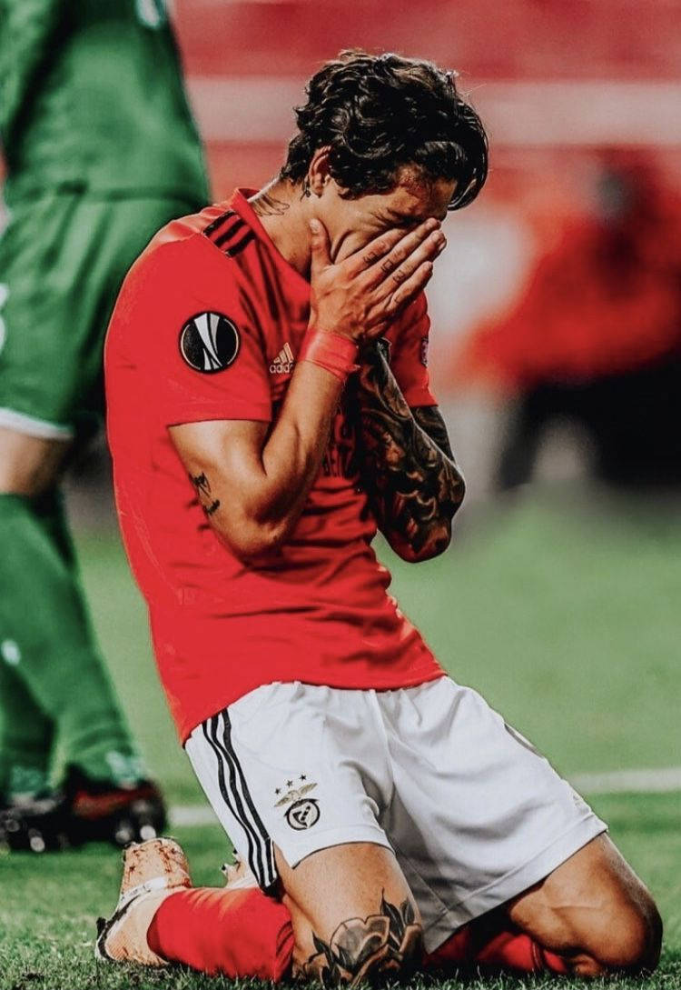 Darwin Núñez Benfica Dejected Wallpaper