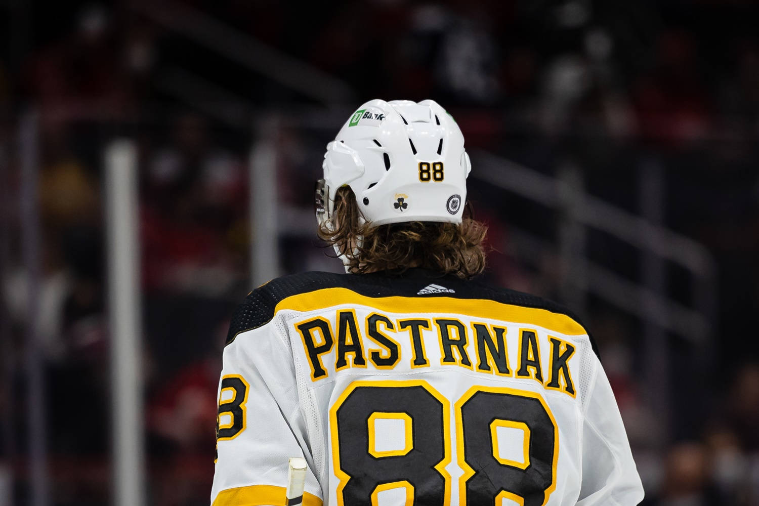 David Pastrnak Hockey Jersey Back View Wallpaper