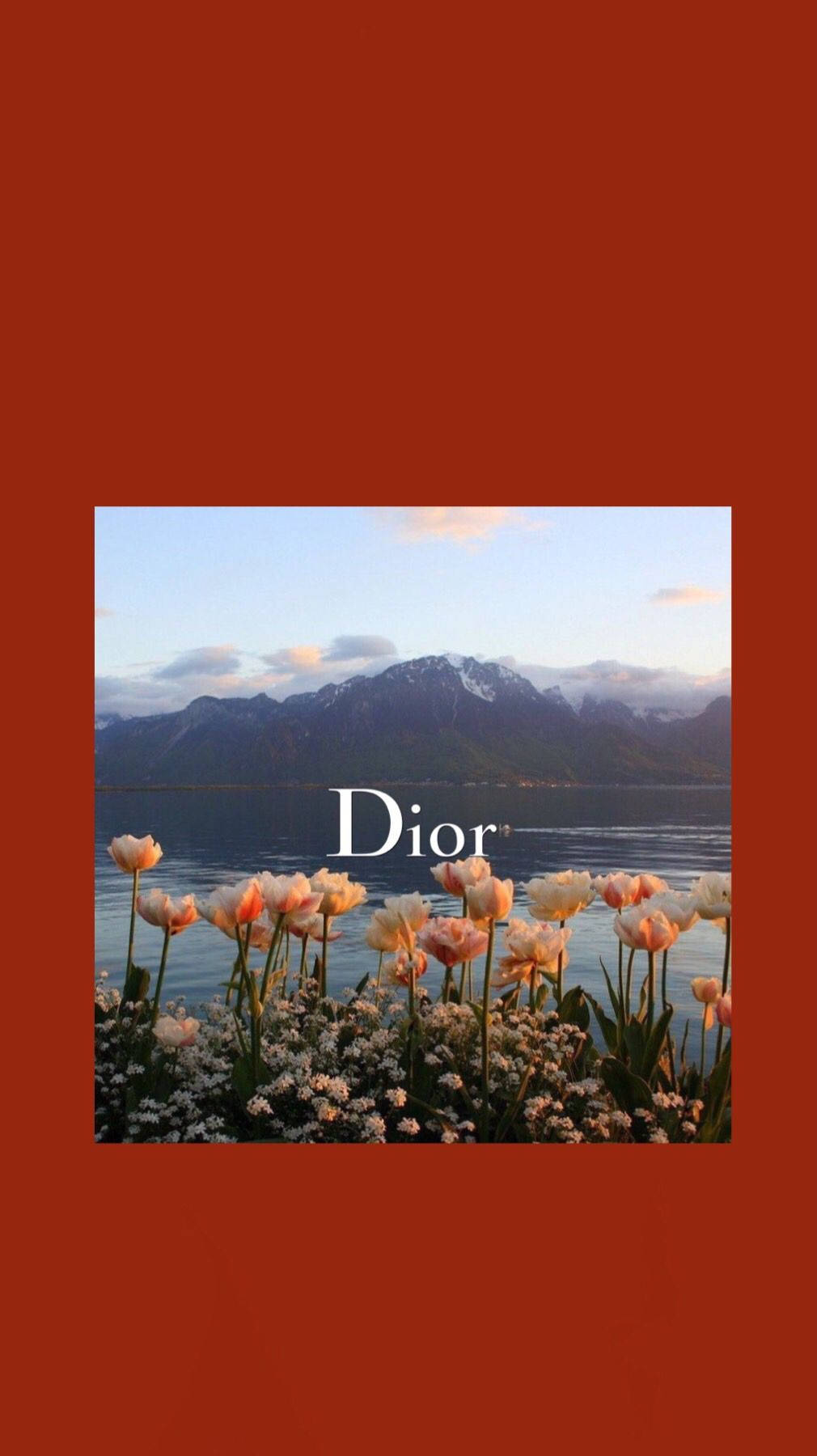 Dior Red Orange Poppies Wallpaper