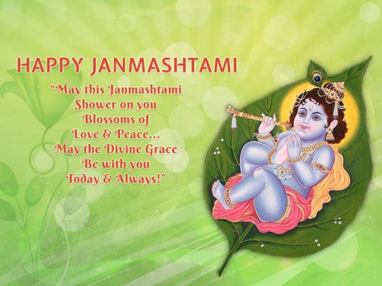 Divine Innocence - Celebrating Krishna Janmashtami Wallpaper