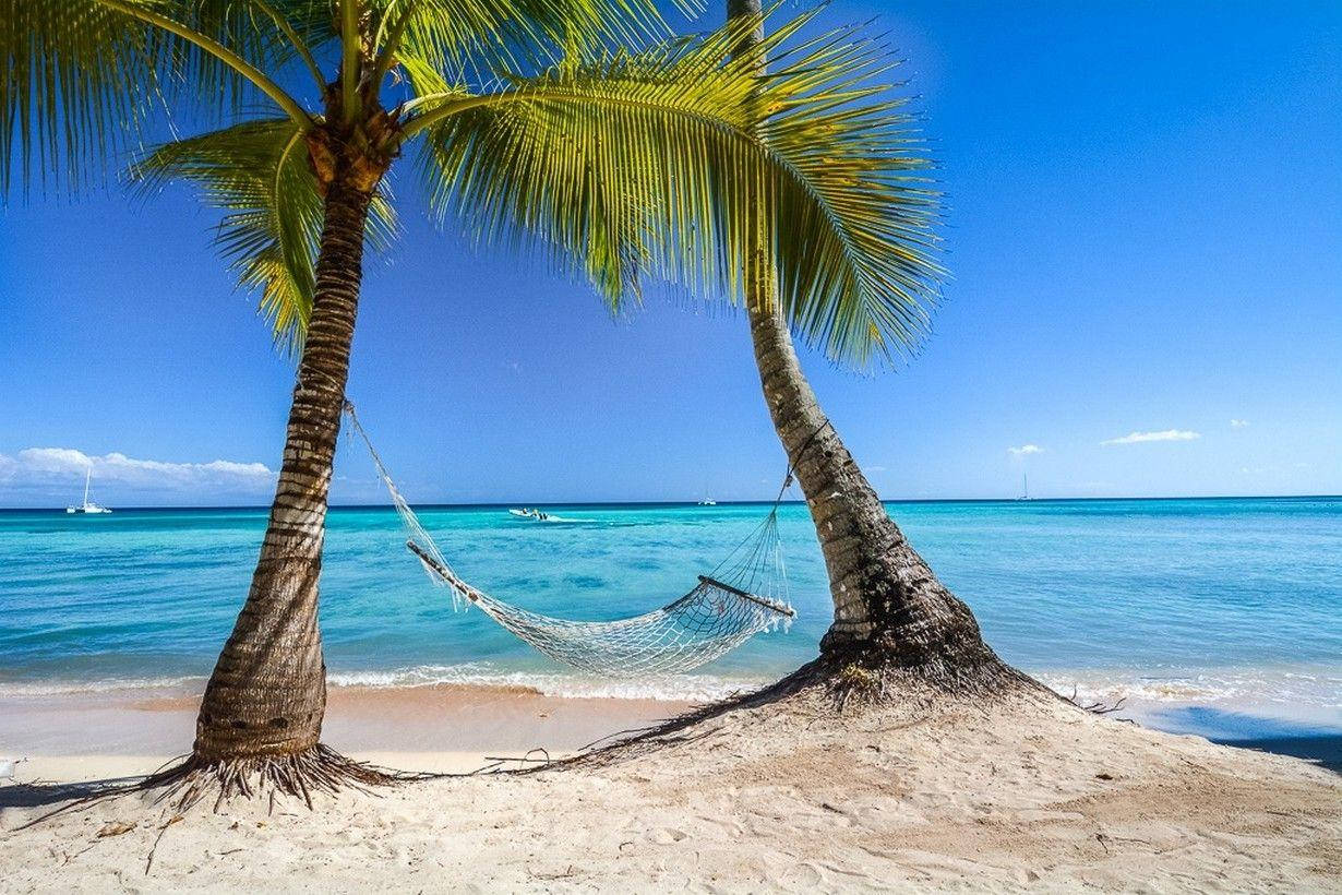 Dominican Republic Hammock Shore Wallpaper