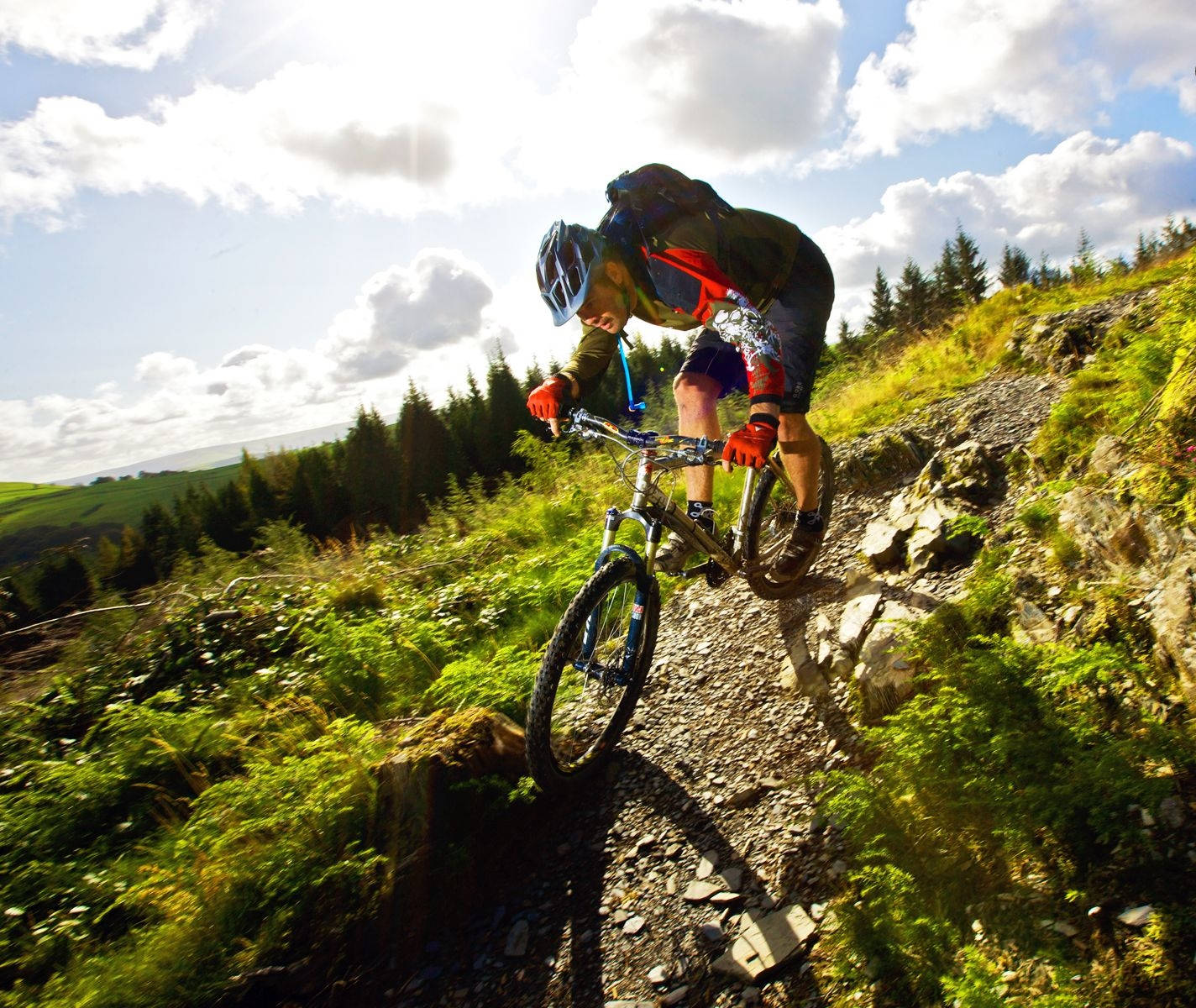 Downhill Mtb Daytime Ride Wallpaper