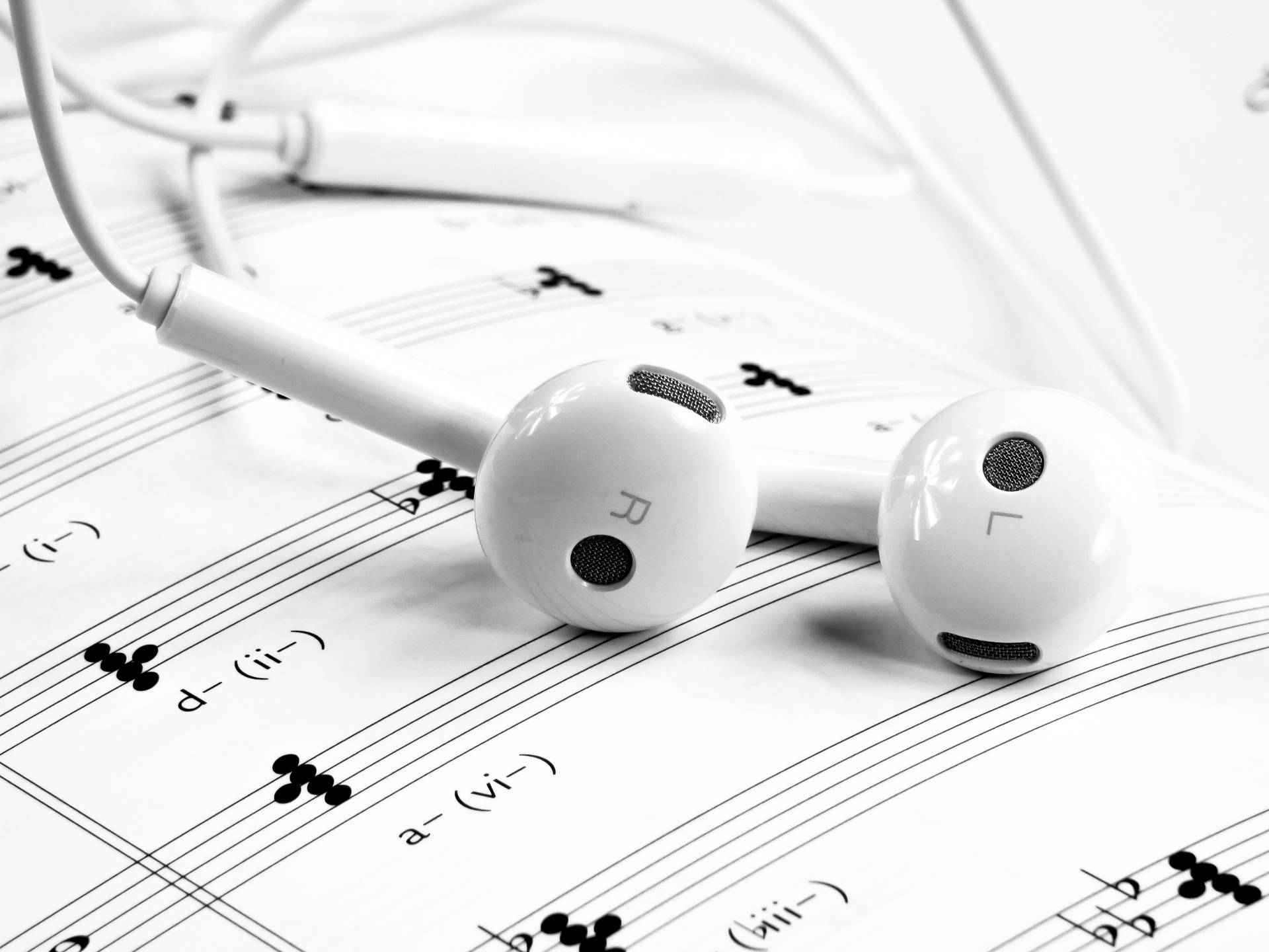 Earphones For Music 4k Wallpaper