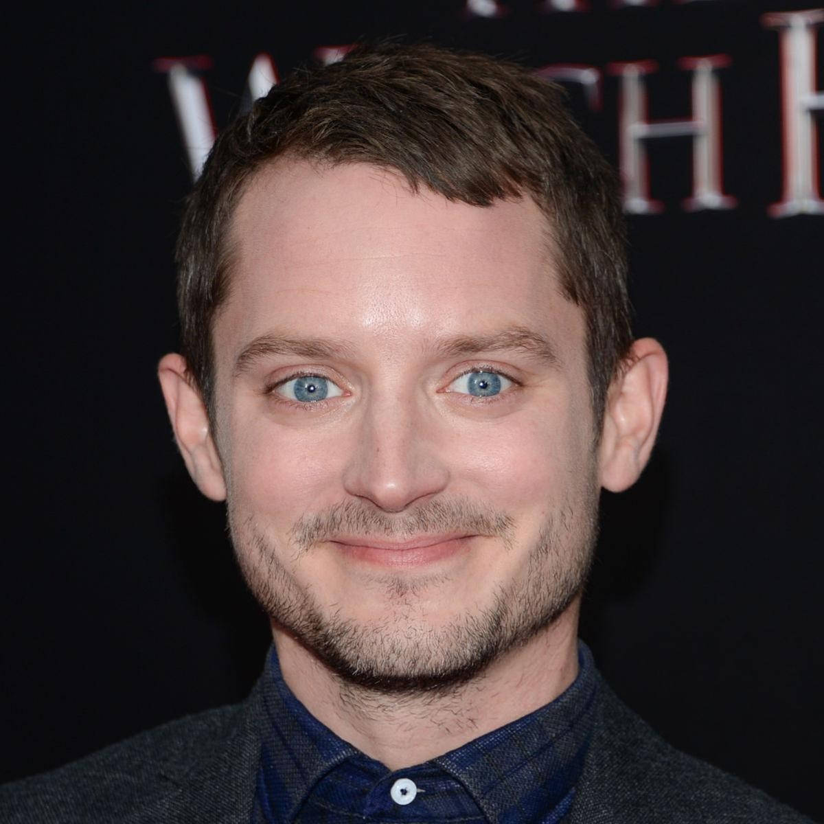 Elijah Wood Slightly Grinning Wallpaper