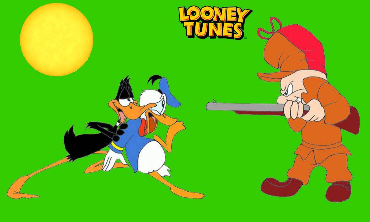 Elmer Fudd, Daffy Duck, Donald Duck Wallpaper