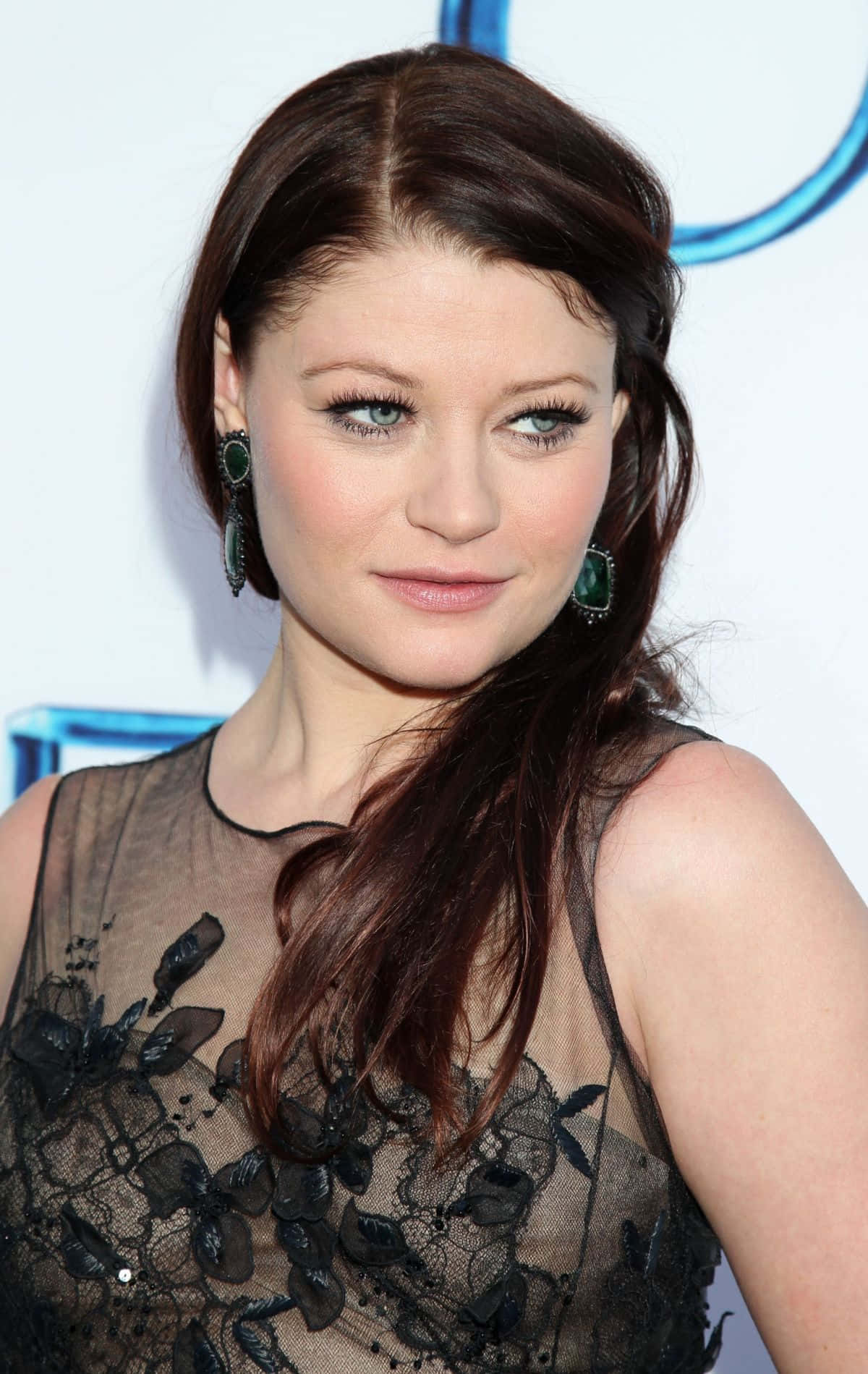 Emilie De Ravin Red Carpet Look Wallpaper