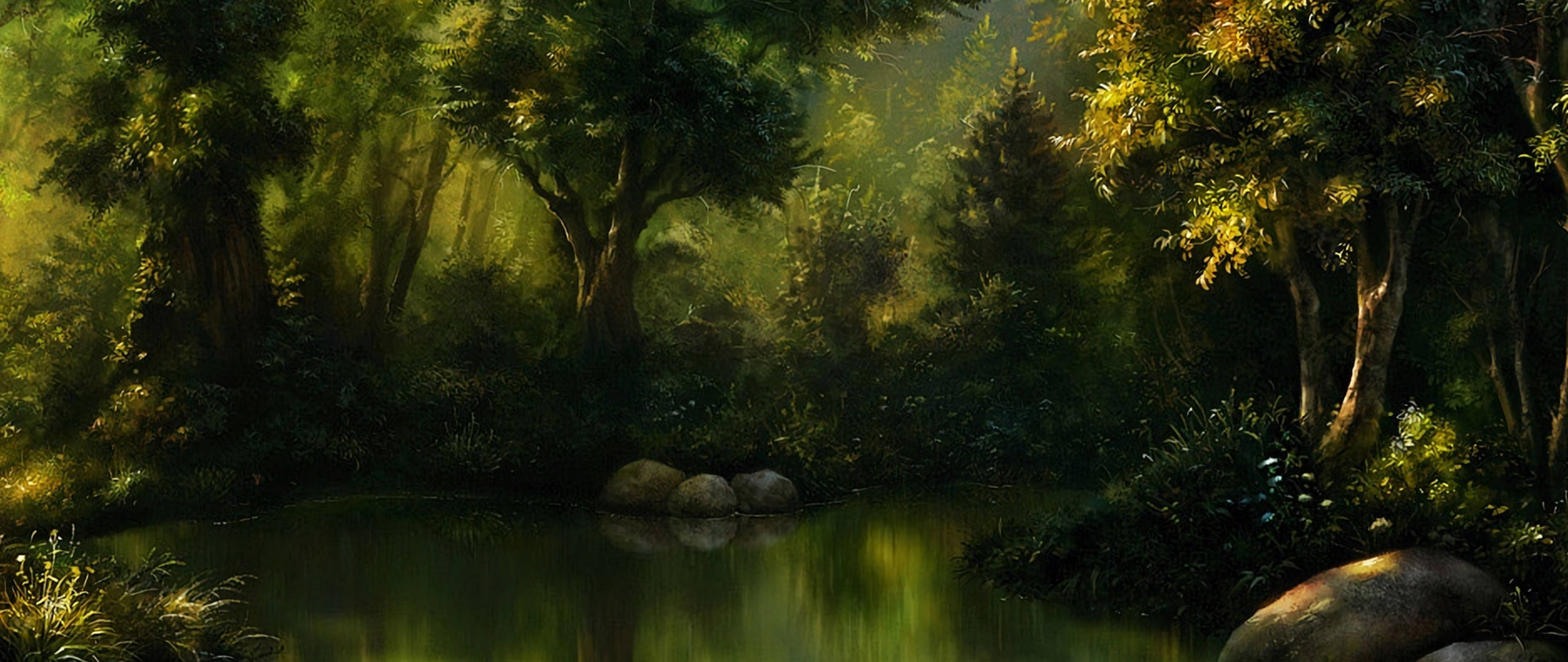 Enchanted Forest Golden Hour Wallpaper