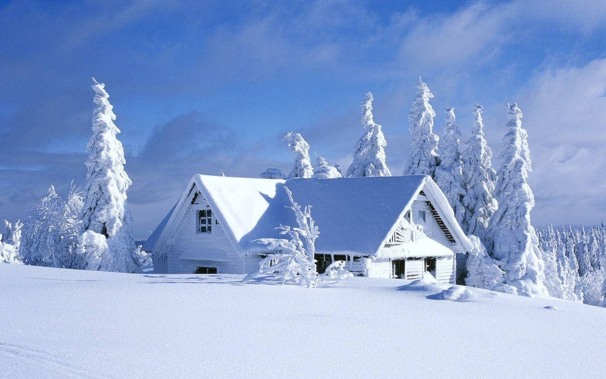 Enjoy A Beautiful View Of Nature With A Peaceful Snowy Landscape. Wallpaper