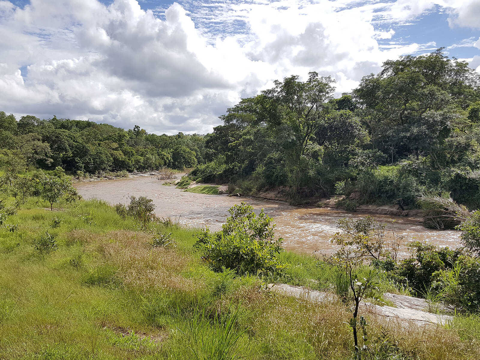 Fazao- Malfakassa National Park Togo Wallpaper