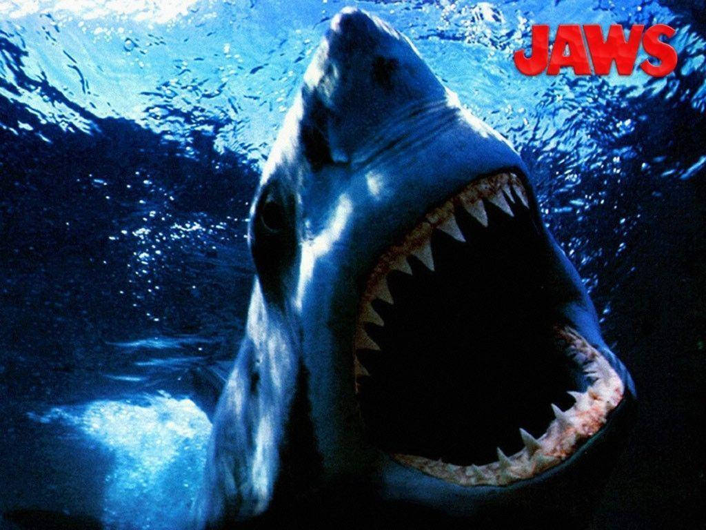 Fear The Deep - Jaws Wallpaper