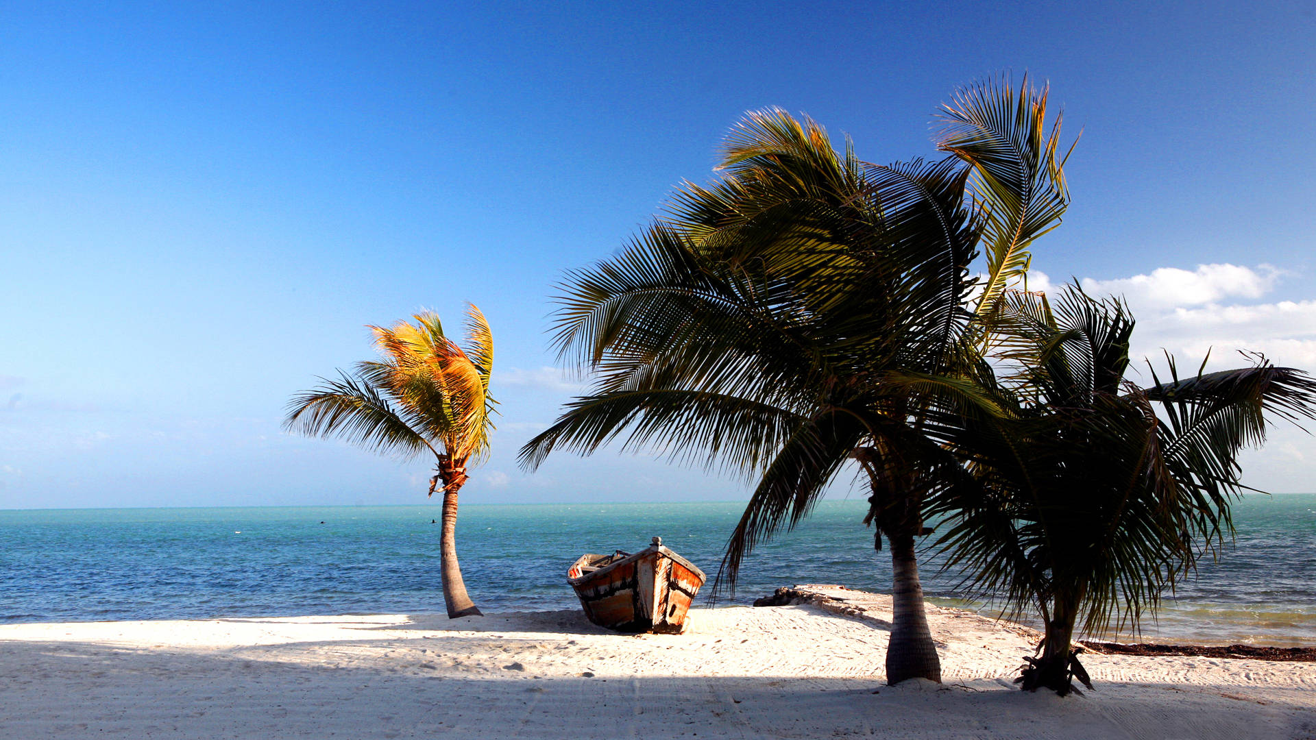 Florida Beach Canoe Wallpaper