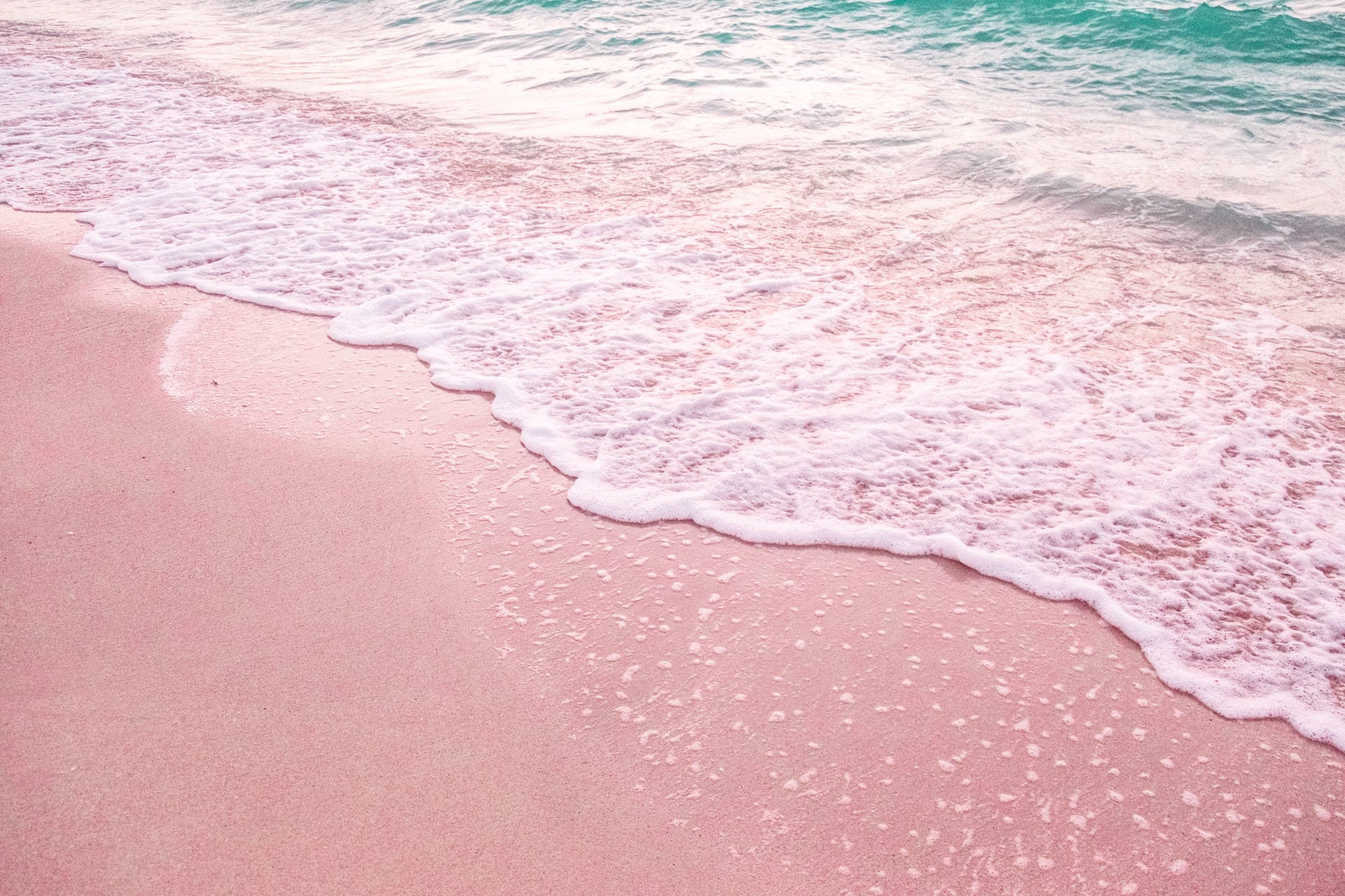 Florida Pink Shore Wallpaper