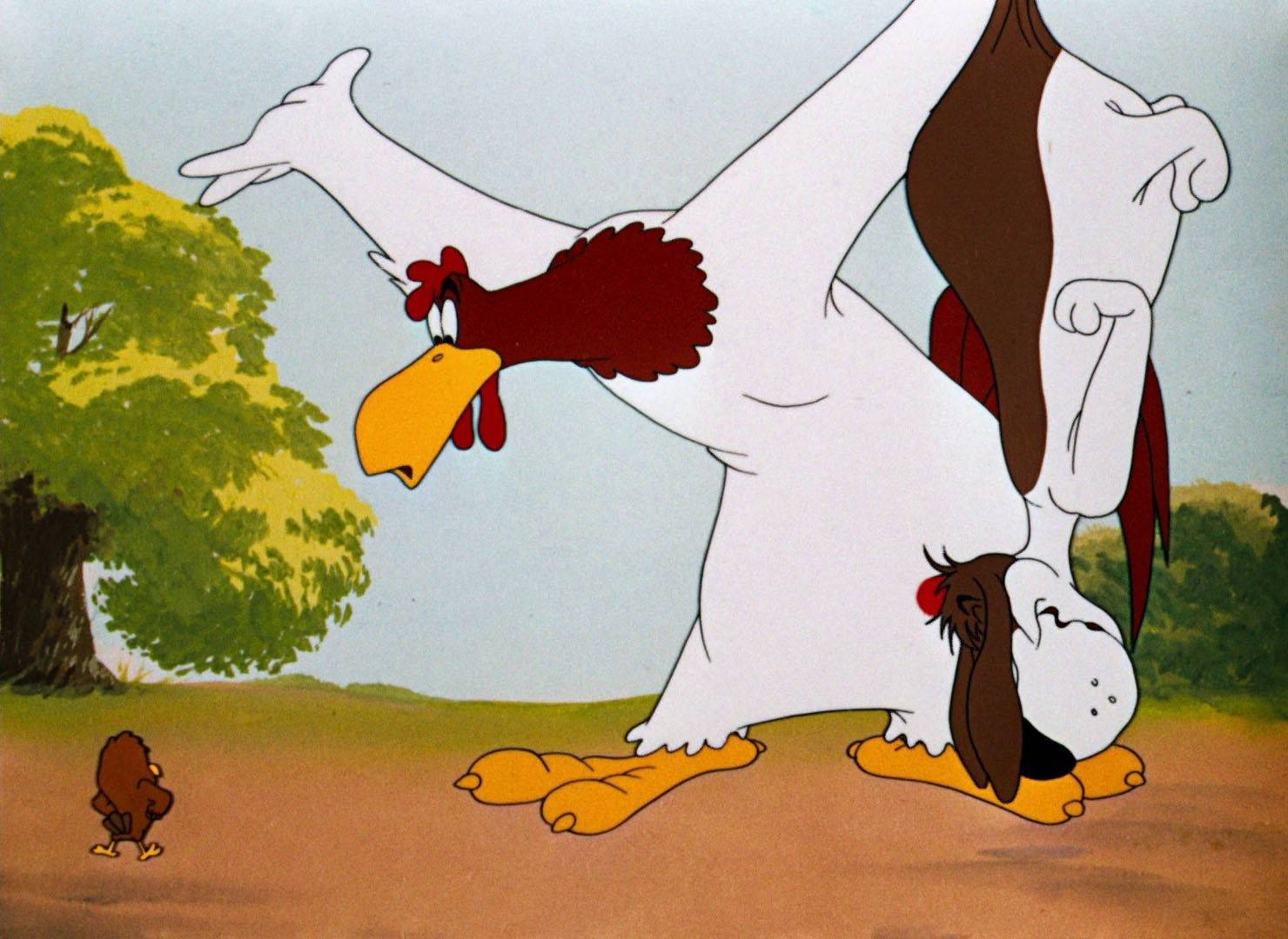 Foghorn Leghorn And His Signature Expression Wallpaper