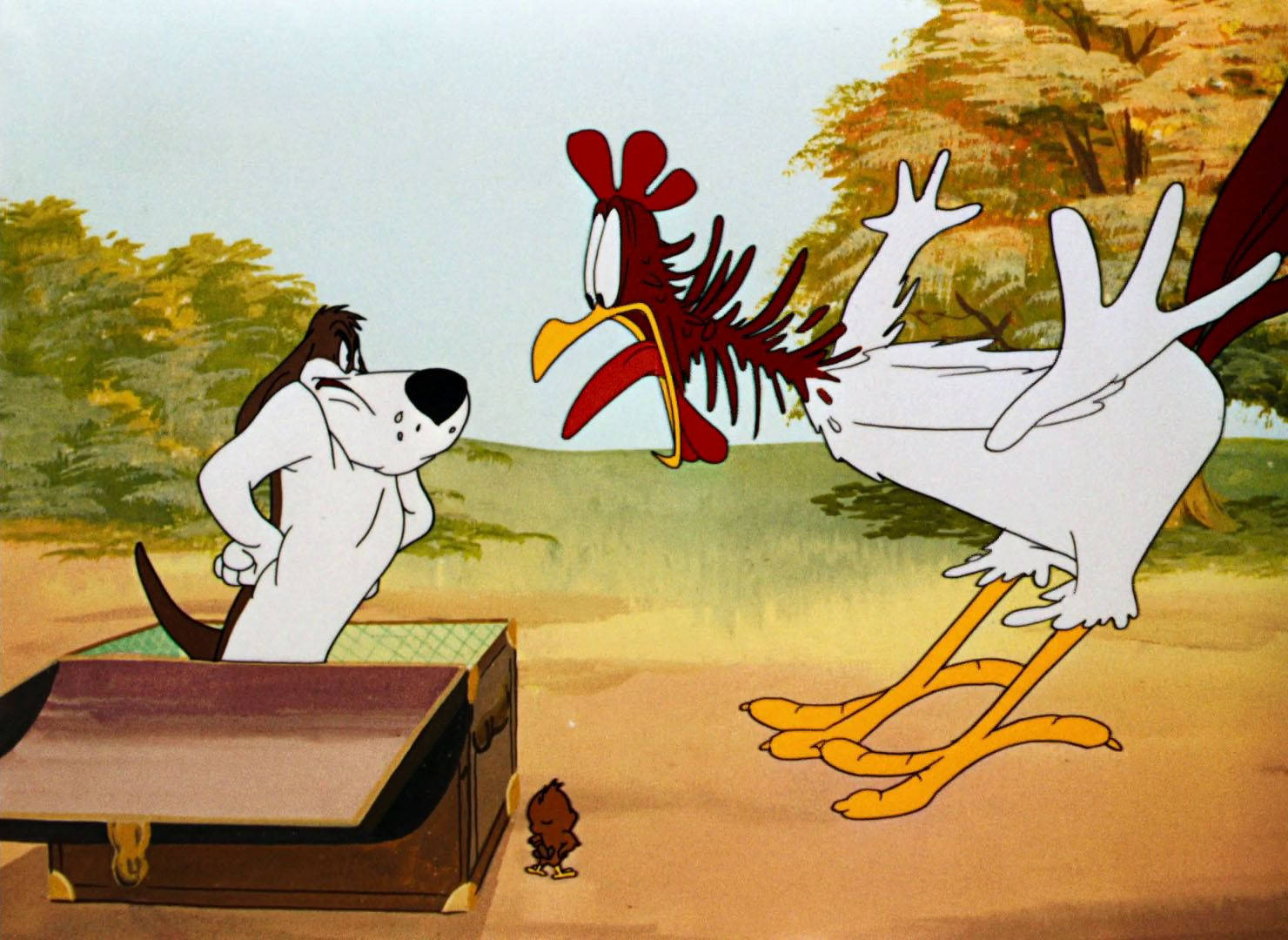 Foghorn Leghorn, The Looney Tunes Character Wallpaper